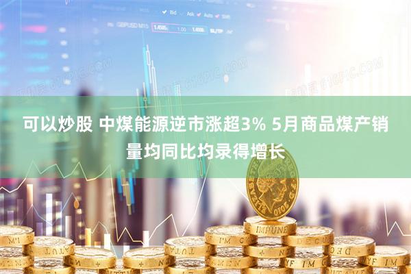 可以炒股 中煤能源逆市涨超3% 5月商品煤产销量均同比均录得增长