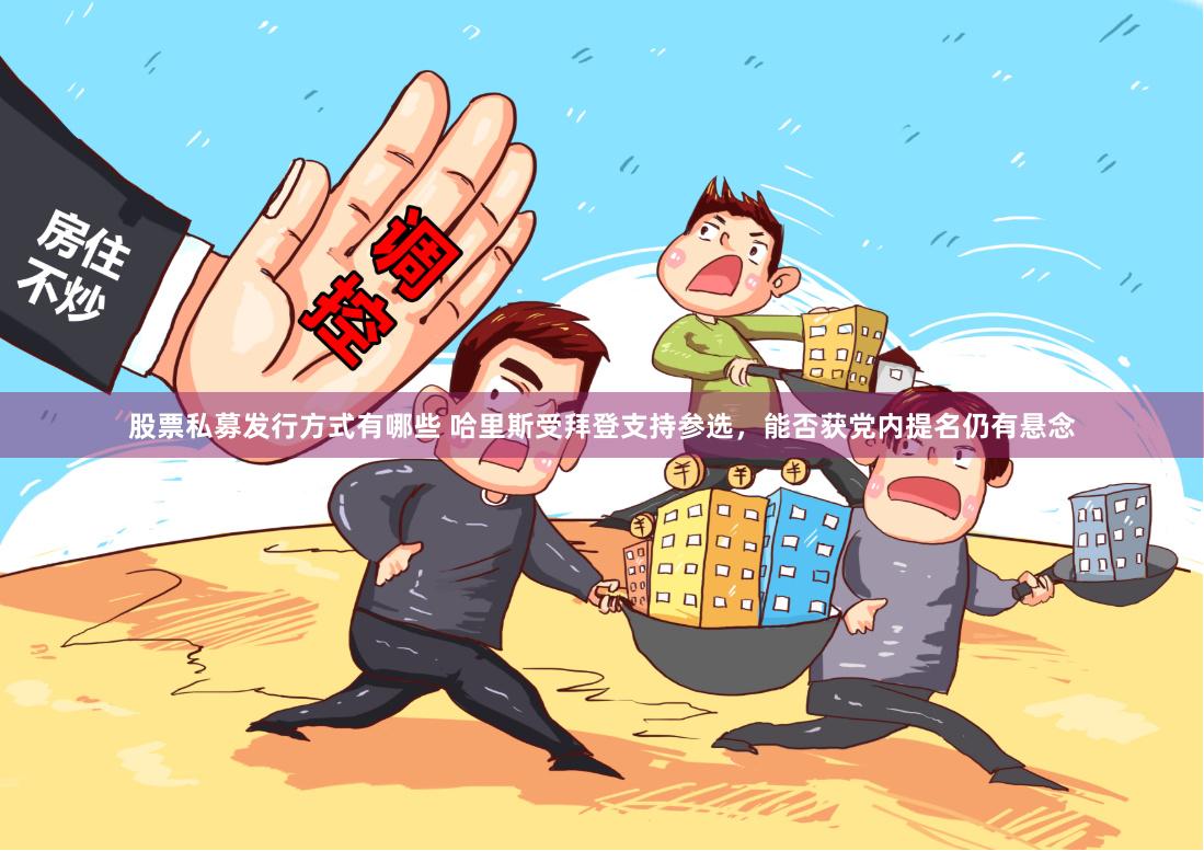 股票私募发行方式有哪些 哈里斯受拜登支持参选，能否获党内提名仍有悬念