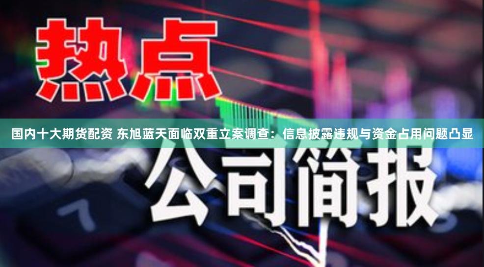 国内十大期货配资 东旭蓝天面临双重立案调查：信息披露违规与资金占用问题凸显