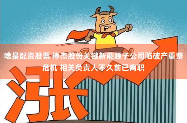 啥是配资股票 棒杰股份关键新能源子公司陷破产重整危机 相关负责人不久前已离职