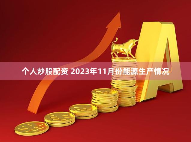 个人炒股配资 2023年11月份能源生产情况