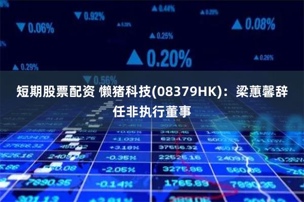 短期股票配资 懒猪科技(08379HK)：梁蕙馨辞任非执行董事