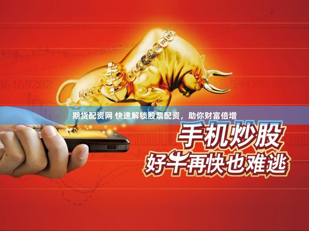 期货配资网 快速解锁股票配资，助你财富倍增