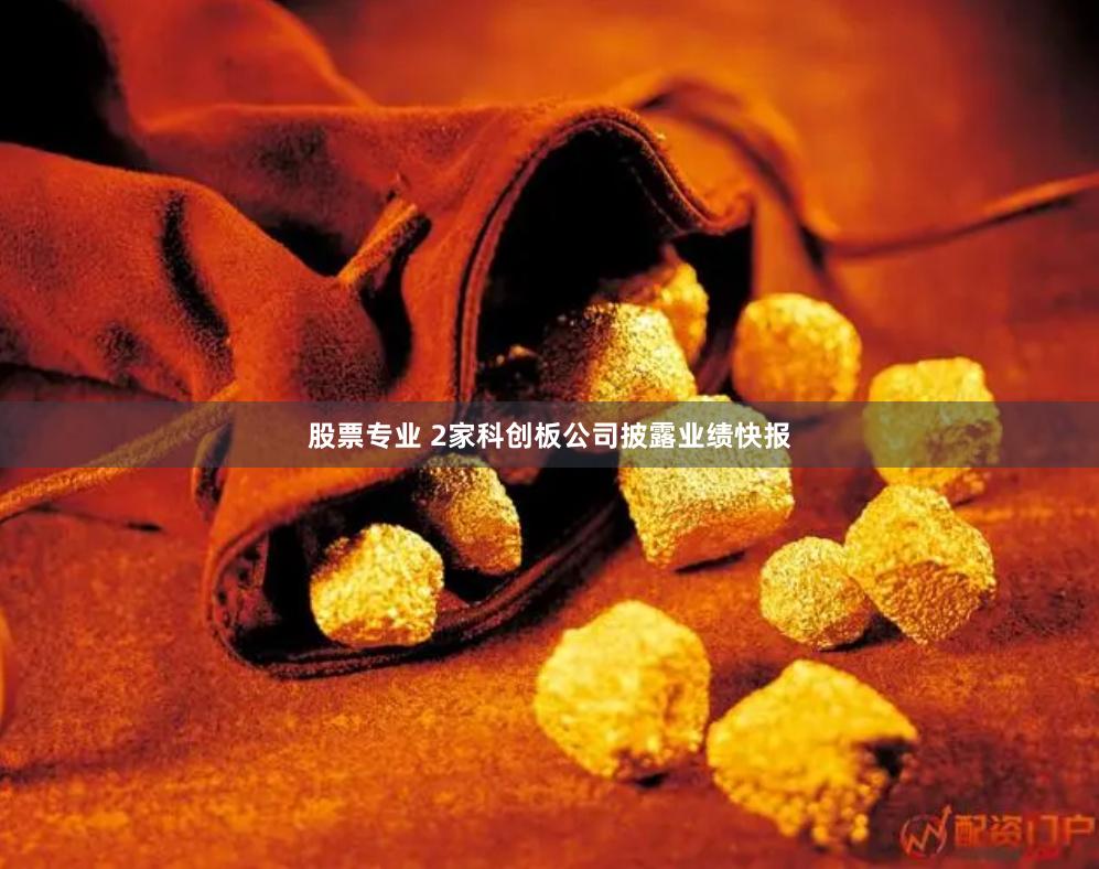股票专业 2家科创板公司披露业绩快报