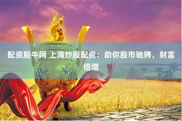 配资股牛网 上海炒股配资：助你股市驰骋，财富倍增