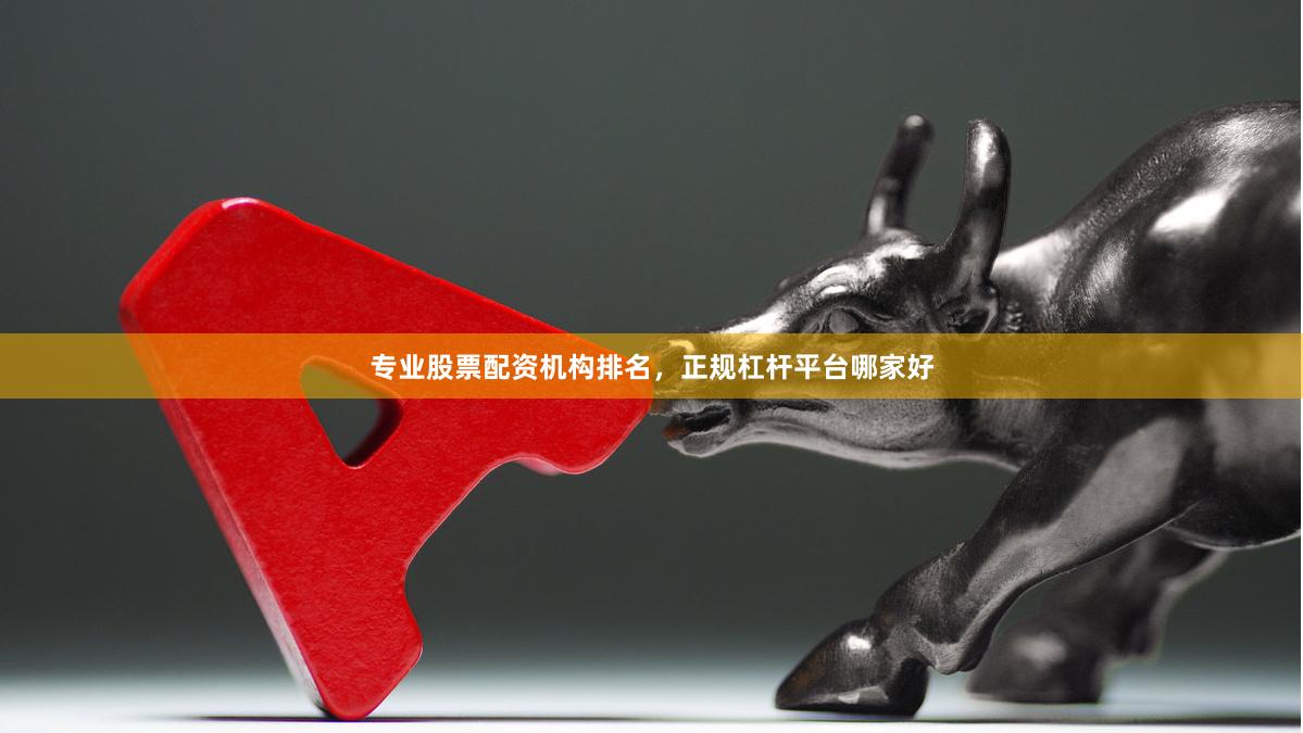 专业股票配资机构排名，正规杠杆平台哪家好