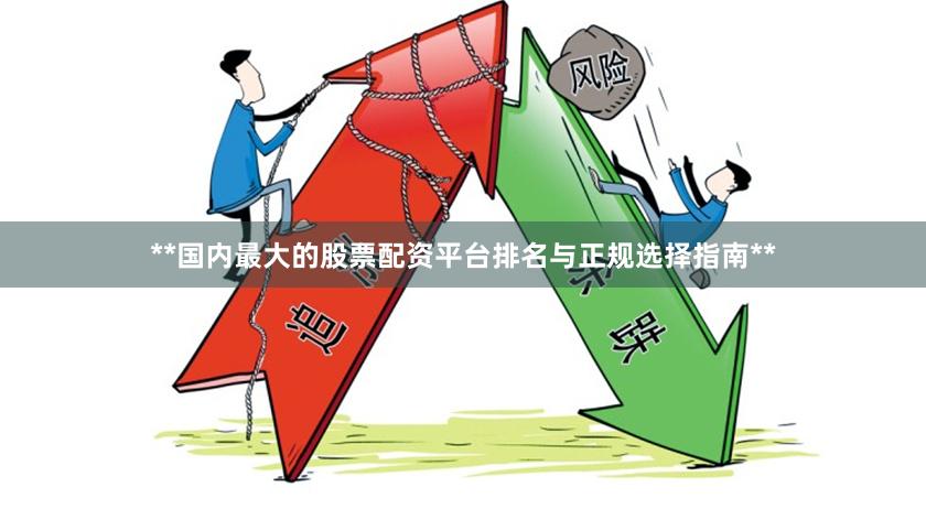**国内最大的股票配资平台排名与正规选择指南**