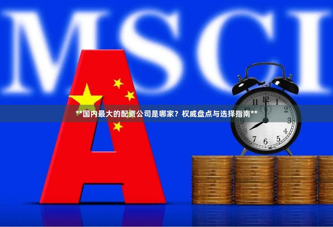 **国内最大的配资公司是哪家？权威盘点与选择指南**