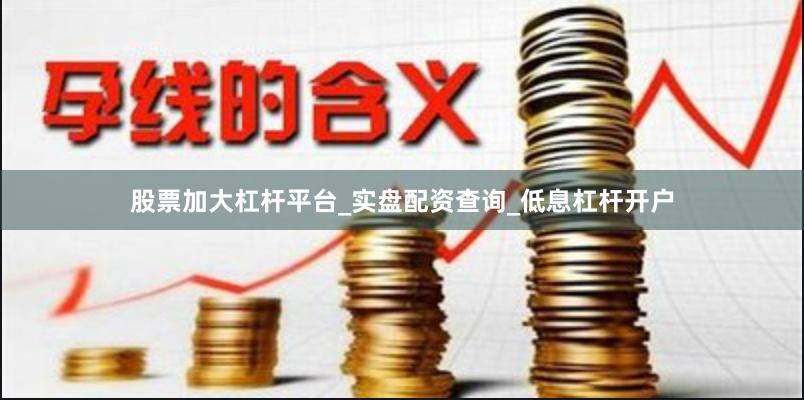 股票加大杠杆平台_实盘配资查询_低息杠杆开户